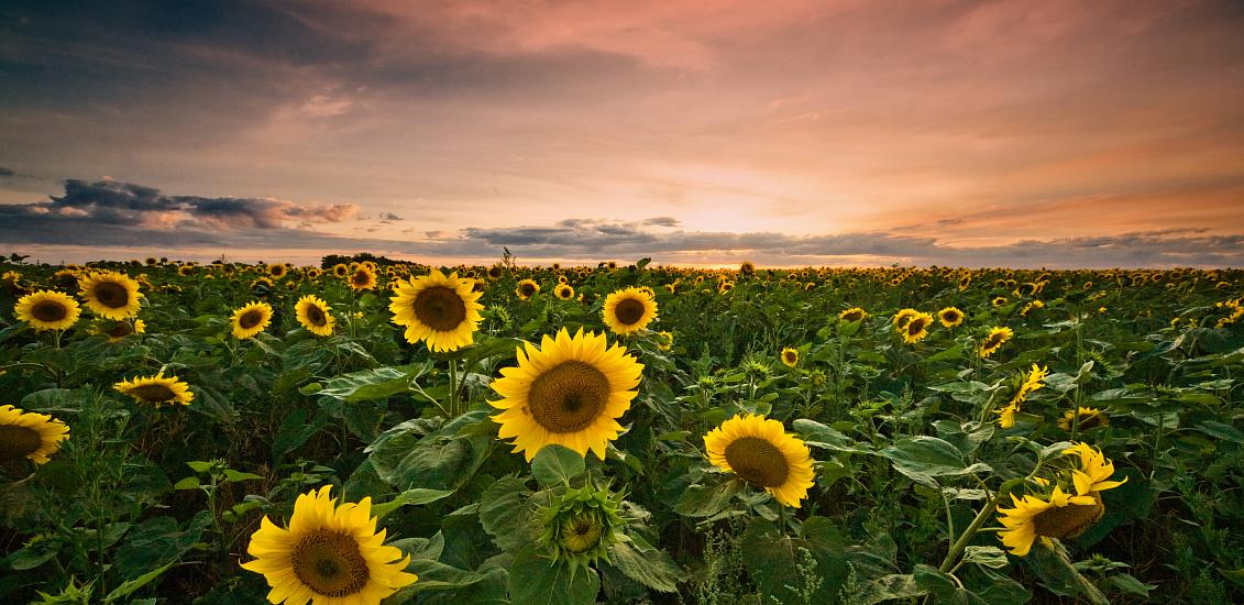 The charm of Empordà